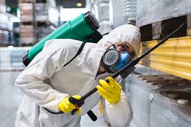 Best Fumigation Services  in Anchorage, AK